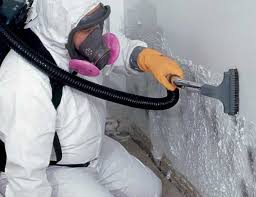 Best HVAC Mold Inspection and Cleaning  in Silver Firs, WA